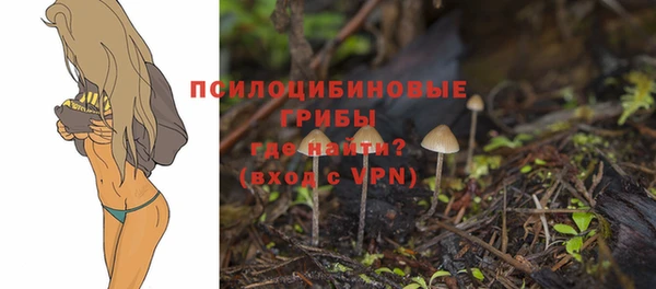 таблы Бородино