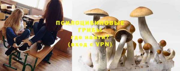 таблы Бородино