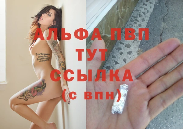 таблы Бородино