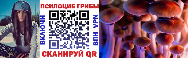 Псилоцибиновые грибы Psilocybine cubensis  Неман 